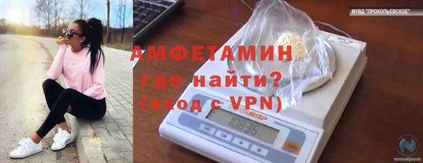ешки Горняк