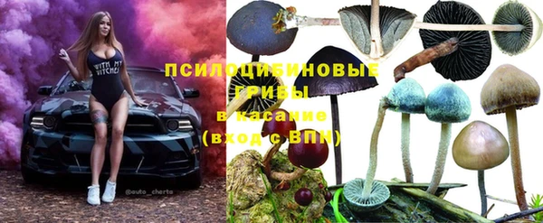 винт Вязники