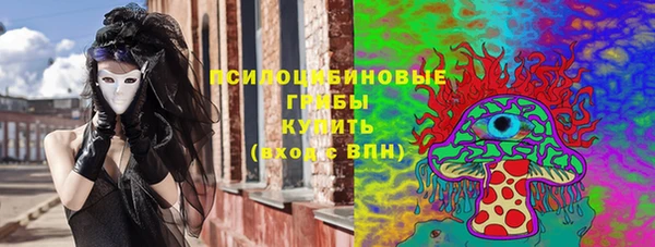 ГАЛЛЮЦИНОГЕННЫЕ ГРИБЫ Горно-Алтайск
