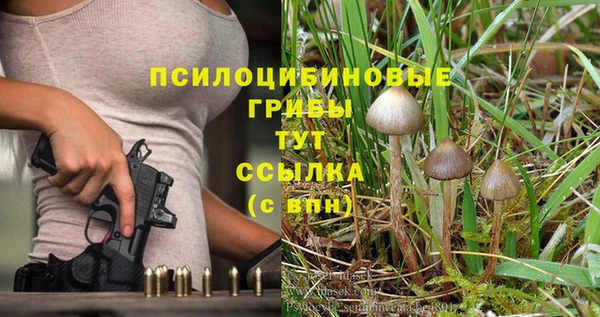 ешки Горняк