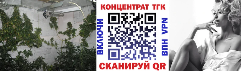 Дистиллят ТГК концентрат купить закладку Кисловодск