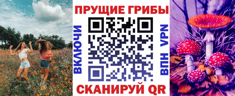 даркнет какой сайт  Кисловодск  Галлюциногенные грибы ЛСД 
